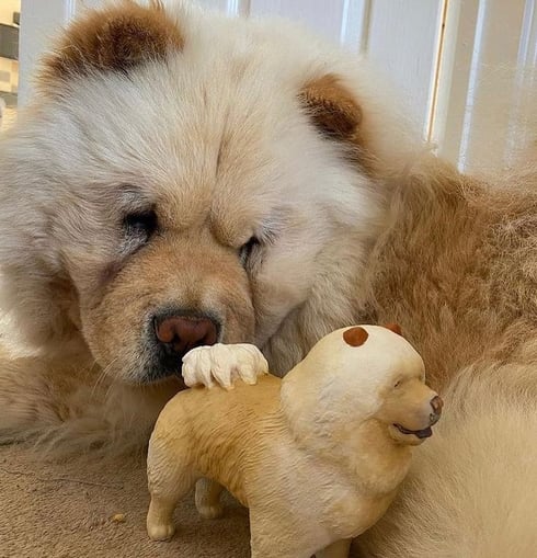 Ab8RFdu5UPWHnE4GznpOkHuyJpFSfA0flMfOKFqLemj8Fu9aS2QDiz0uHs7YZnpD6--h5AJuTJ-wsSh1Ma2Uu7jotlCgVdV_X_ouyKMUl7KmXOEz2PrCbVejcGmJJhNBww=w1280 Ab8RFdu5UPWHnE4GznpOkHuyJpFSfA0flMfOKFqLemj8Fu9aS2QDiz0uHs7YZnpD6--h5AJuTJ-wsSh1Ma2Uu7jotlCgVdV_X_ouyKMUl7KmXOEz2PrCbVejcGmJJhNBww=w1280